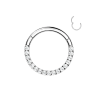 Implant Grade Titanium Hinged Segment Hoop Ring With Facing Pave  CZ