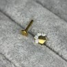 Blaze Set CZ 2mm Stone Paw Shape Top labret